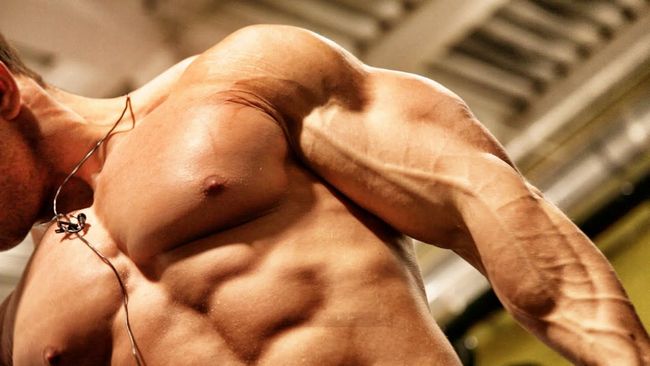 Solo-Steroid-Kurse: Wie einnehmen und anwenden